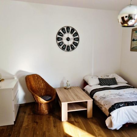 City Centre Apartments Liberec Buitenkant foto
